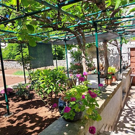 Apartment Luana Pula Dış mekan fotoğraf